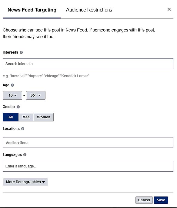 Facebook audience targeted post options