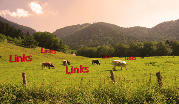link-building-through-Link-Farm